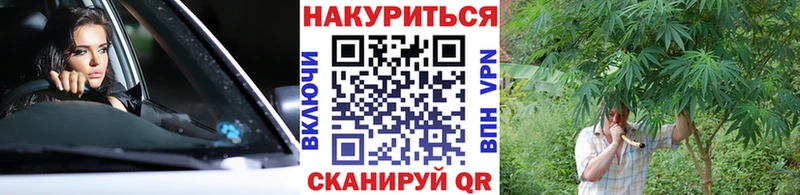 Как найти наркотики Лениногорск ГАШ  Бошки Шишки  Мефедрон 