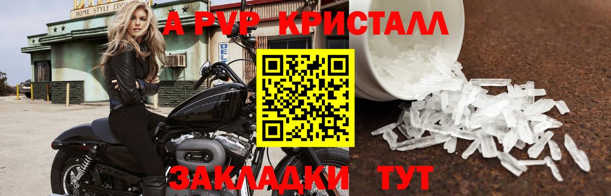 Alpha PVP СК Лениногорск