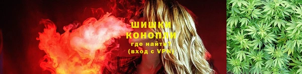 гашик Новозыбков
