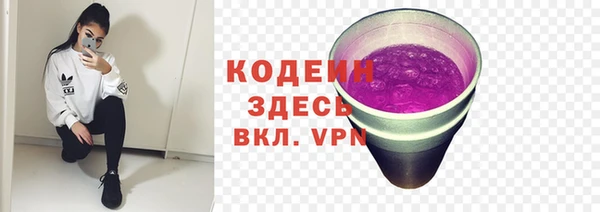СК Нея