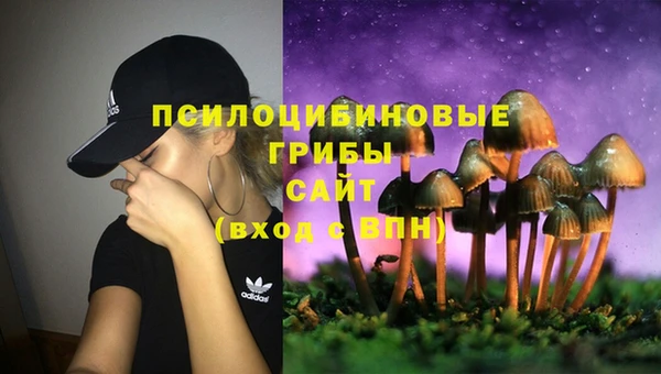 СК Нея