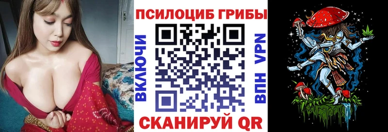 Псилоцибиновые грибы Psilocybe  omg зеркало  Лениногорск  что такое наркотик 