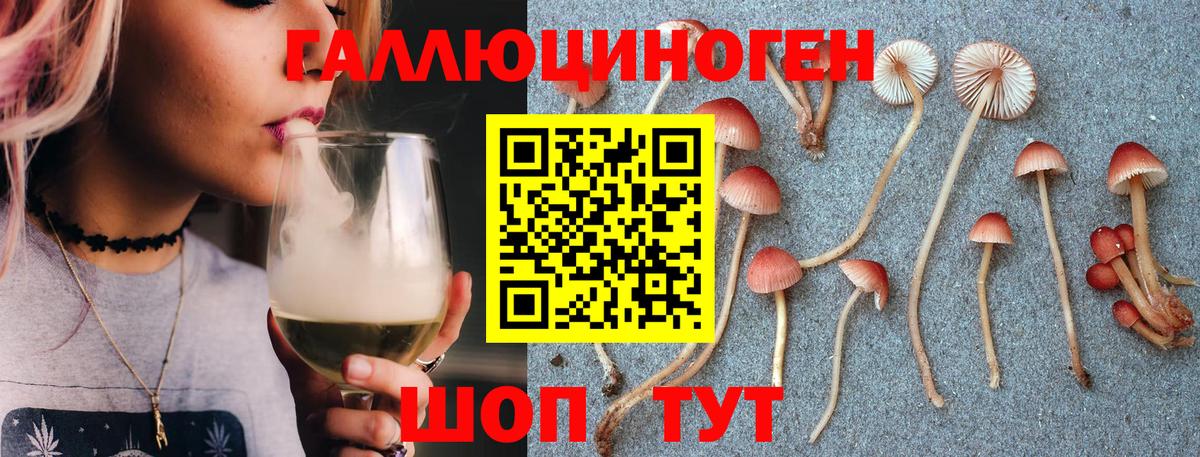 Галлюциногенные грибы MAGIC MUSHROOMS Лениногорск