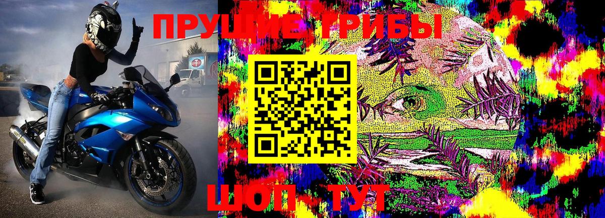 Псилоцибиновые грибы MAGIC MUSHROOMS  Псилоцибиновые грибы Psilocybe  Лениногорск 