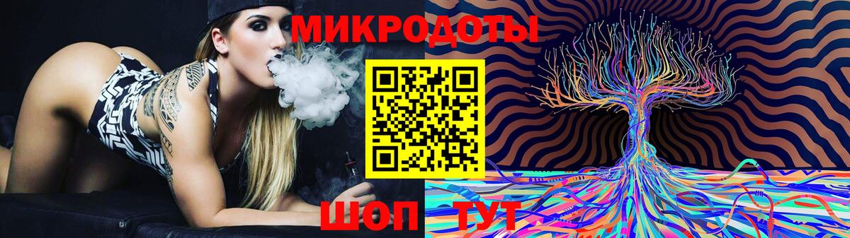 Галлюциногенные грибы Psilocybe Лениногорск