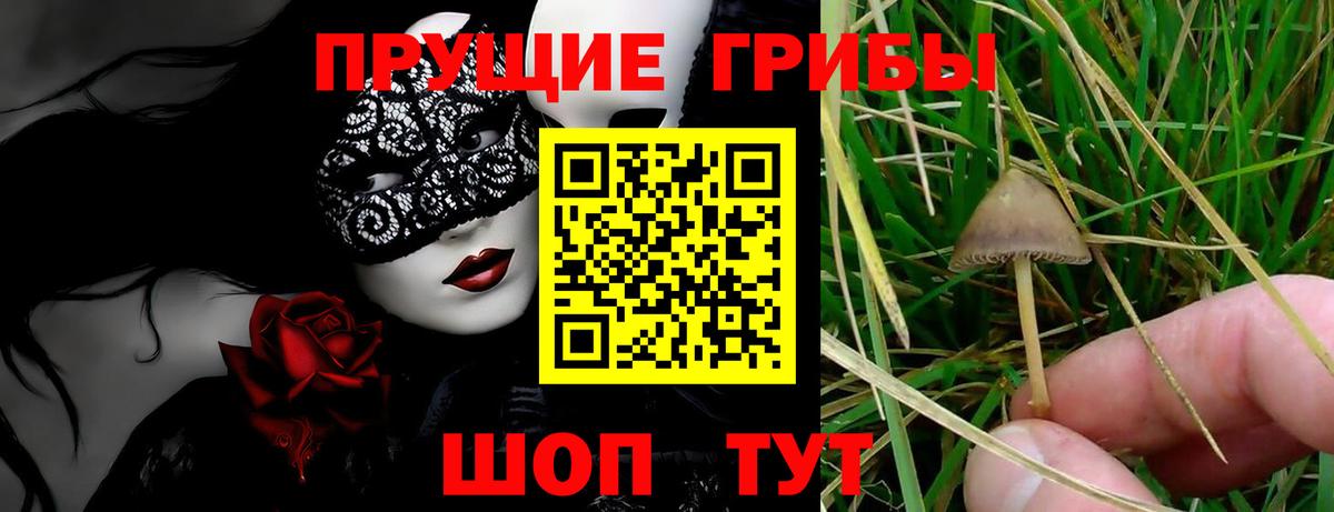Псилоцибиновые грибы мицелий  купить   Лениногорск  Вход с VPN 