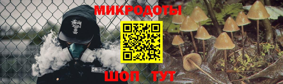 ГАШ Лениногорск
